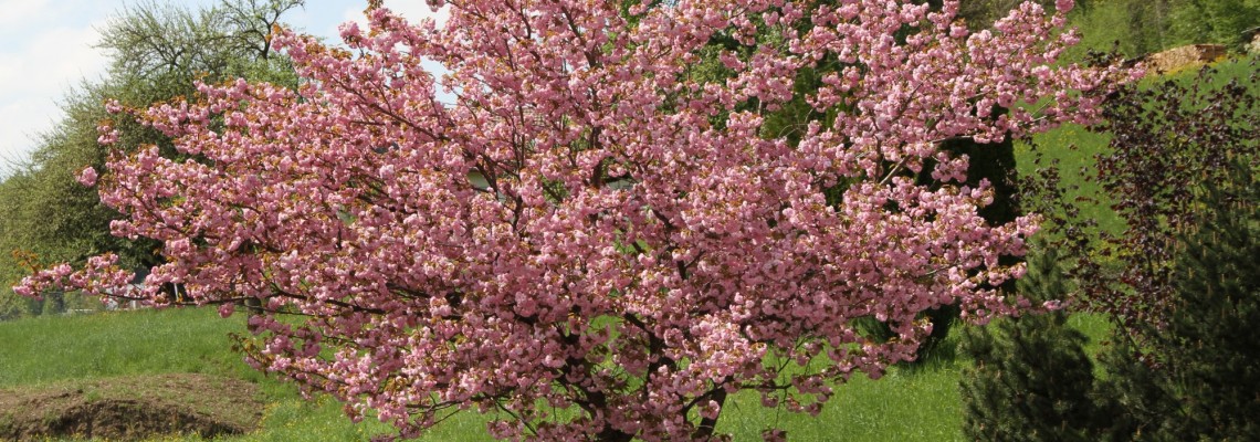 W. KELLER AG Neuer Webauftritt