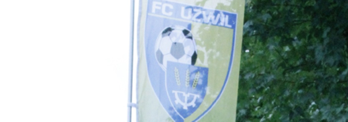 Signaletik Freiraumgestaltung Fahnenmasten, Boulevard-Teleskopmasten